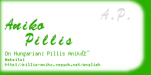 aniko pillis business card